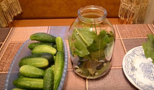 Как засолить огурцы, чтобы хрустели. Хрустящие соленые огурцы в банках: 5 супер вкусных рецептов на зиму