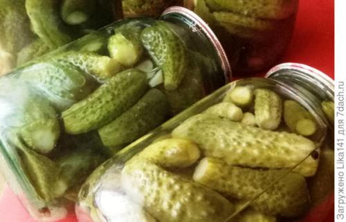 Консервированные огурцы, которые не взрываются. Суперхрустящие огурчики на зиму, которые никогда не взрываются