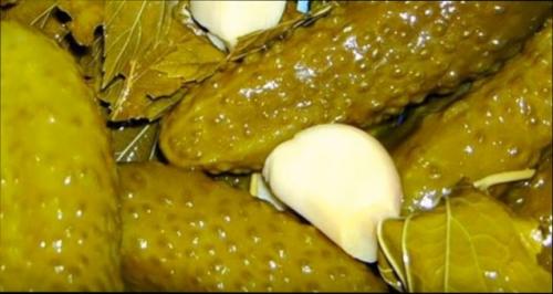 Как засолить огурцы в 3х литровой банке. Засолка огурцов в 3 литровых банках на зиму – хрустящие, соленые огурцы