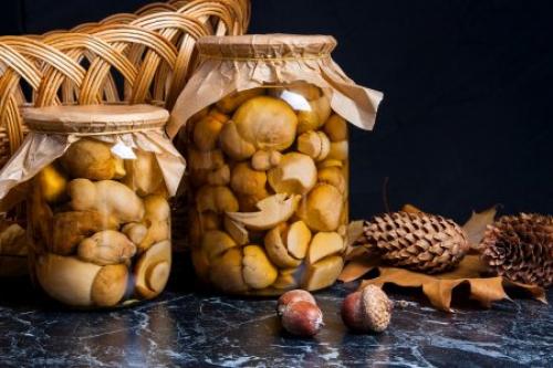 Маринованные сливы на зиму к мясу. 12 лучших рецептов маринованной сливы на зиму