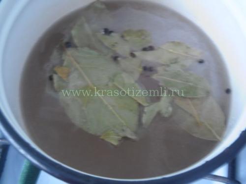 Сливы маринованные закусочные на зиму 19 Сливы маринованные закусочные на зиму 19