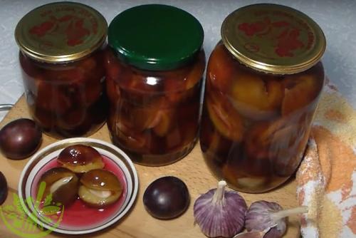 Сливы с чесноком и мятой. Маринованные сливы с чесноком: все, кто пробовал, просят рецепт