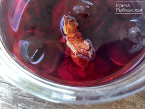 Маринованные сливы, как маслины. Рецепты маринованной сливы на зиму