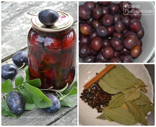 Маринованные сливы, как маслины. Рецепты маринованной сливы на зиму