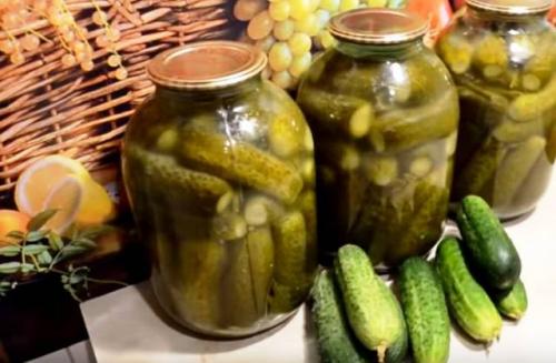 Соленые огурцы в банке, как бочковые. Квашенные огурцы в банках на зиму под железную крышку