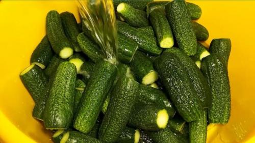 Можно ли солить огурцы без листьев смородины. Солим огурцы в банках с укропом и чесноком