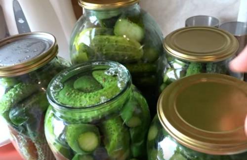 Маринованные огурцы без зелени. Маринованные огурцы хрустящие без стерилизации: очень вкусный рецепт