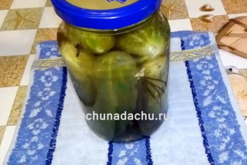 Соленые огурцы рецепт на литровую банку. Хрустящие огурцы в литровых банках с лимонной кислотой