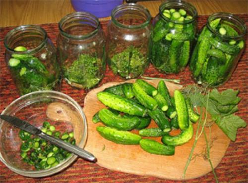 Рецепт соленых огурцов на 3л банку. Хрустящие солёные огурцы горячим способом, как бочковые