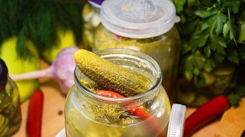 Рецепт соленых огурцов холодным способом. Рецепты холодного способа засолки