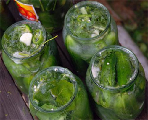 Рецепт соленых огурцов на 3л банку. Хрустящие солёные огурцы горячим способом, как бочковые