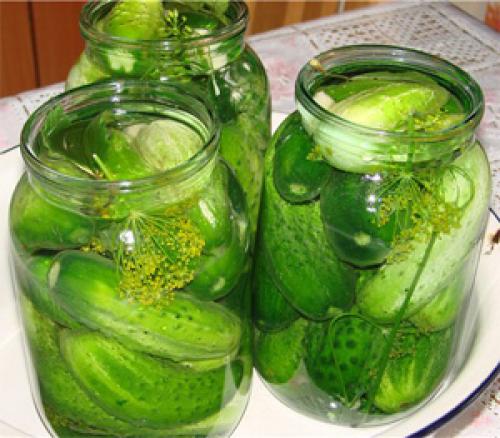 Рецепт соленых огурцов на 3л банку. Хрустящие солёные огурцы горячим способом, как бочковые