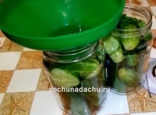 Соленые огурцы рецепт на литровую банку. Хрустящие огурцы в литровых банках с лимонной кислотой