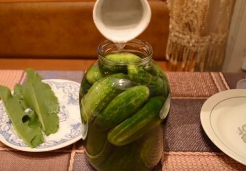 Хрустящие соленые огурцы в банках: 5 супер вкусных рецептов на зиму