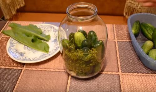 Хрустящие соленые огурцы в банках: 5 супер вкусных рецептов на зиму