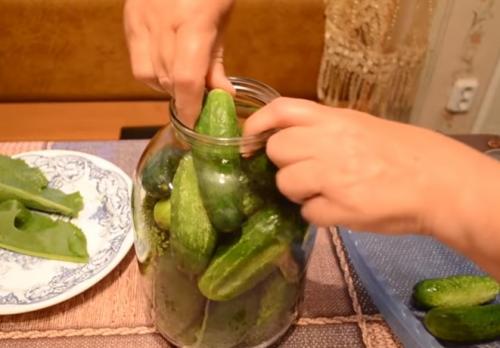 Хрустящие соленые огурцы в банках: 5 супер вкусных рецептов на зиму