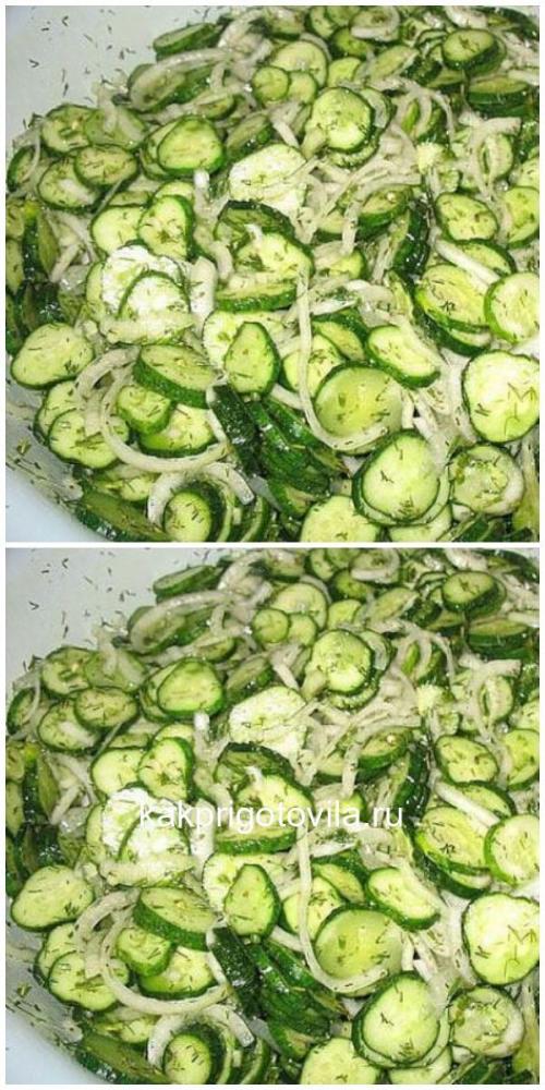 Салат огурцы с укропом и чесноком. Салат «Сырой» из огурцов на зиму — чесночные свежие хрустящие огурчики!