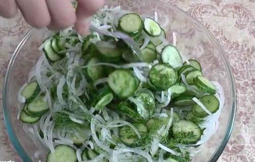 Салат из огурцов нежинский с укропом. Салат «Нежинский» из огурцов на зиму — лучшие рецепты