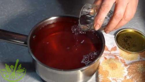 Маринованные сливы с чесноком и мятой. Маринованные сливы с чесноком: все, кто пробовал, просят рецепт