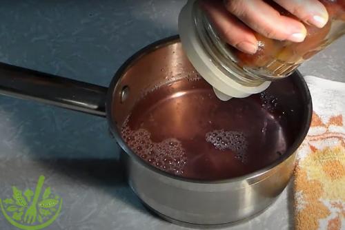 Маринованные сливы с чесноком и мятой. Маринованные сливы с чесноком: все, кто пробовал, просят рецепт