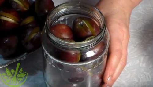 Маринованные сливы с чесноком и мятой. Маринованные сливы с чесноком: все, кто пробовал, просят рецепт