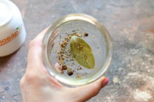 Маринованные сливы на зиму без стерилизации. Маринованная слива без стерилизации на зиму