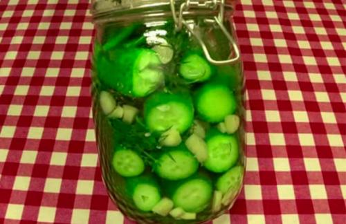 Малосольные огурцы без зелени. 7 простых рецептов хрустящих малосольных огурцов быстрого приготовления