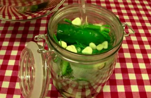 Малосольные огурцы без зелени. 7 простых рецептов хрустящих малосольных огурцов быстрого приготовления