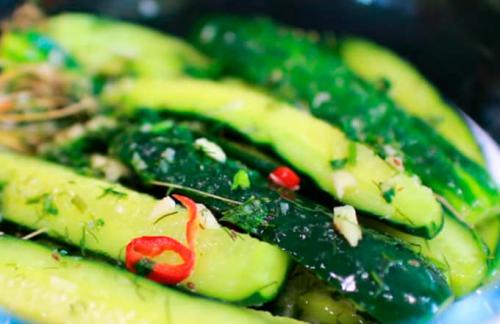 Малосольные огурцы без зелени. 7 простых рецептов хрустящих малосольных огурцов быстрого приготовления