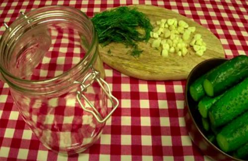 Малосольные огурцы без зелени. 7 простых рецептов хрустящих малосольных огурцов быстрого приготовления