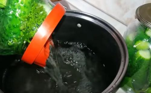 Как закрыть огурцы на зиму без зелени. Классический без стерилизации