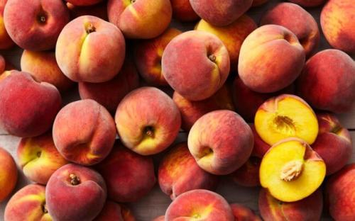 Поздние сорта персика. Среднеспелые сорта персиков: описание сортов 10