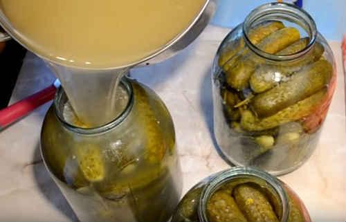 Квашеные огурцы в банках на зиму по проверенным рецептам. Огурцы, квашеные на зиму — самые вкусные рецепты (как бочковые)