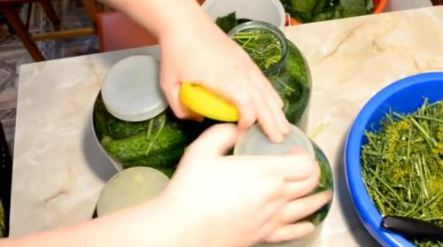 Квашеные огурцы в банке на зиму пальчики оближешь. Квашенные огурцы в банках на зиму под железную крышку