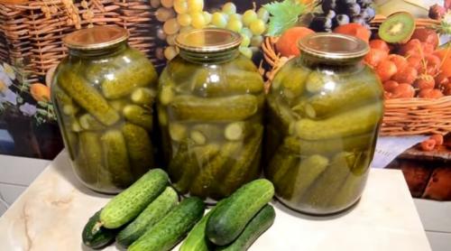 Квашеные огурцы в банках на зиму по проверенным рецептам. Огурцы, квашеные на зиму — самые вкусные рецепты (как бочковые) 16