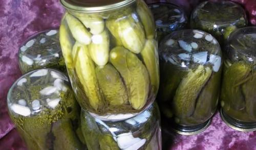 Квашеные огурцы в банках на зиму по проверенным рецептам. Огурцы, квашеные на зиму — самые вкусные рецепты (как бочковые) 17