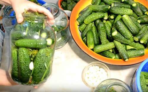 Квашеные огурцы в банках на зиму по проверенным рецептам. Огурцы, квашеные на зиму — самые вкусные рецепты (как бочковые)