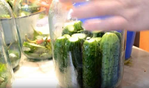 Квашеные огурцы в банках на зиму по проверенным рецептам. Огурцы, квашеные на зиму — самые вкусные рецепты (как бочковые)