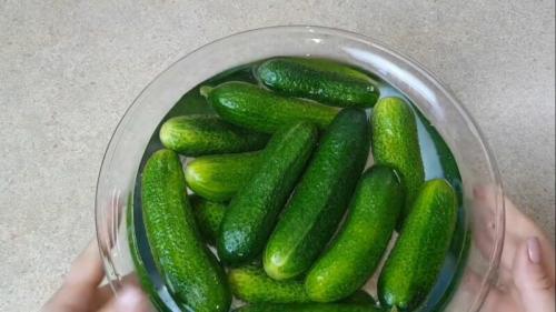 Малосольные огурцы без укропа. Малосольные огурцы быстрого приготовления — 6 рецептов, чтобы они получились хрустящие и сочные