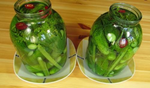 Квашеные огурцы, как бочковые на длительное хранение. Бочковые огурцы на зиму в 3-х литровых банках холодным посолом под капроновые крышки (без закатки)