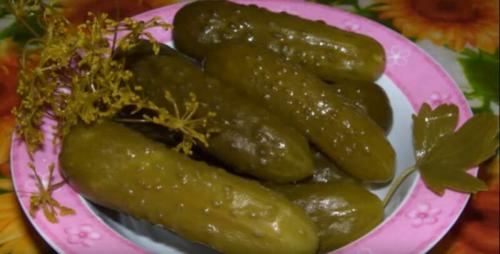 Квашеные огурцы в банках на зиму по проверенным рецептам. Огурцы, квашеные на зиму — самые вкусные рецепты (как бочковые) 15