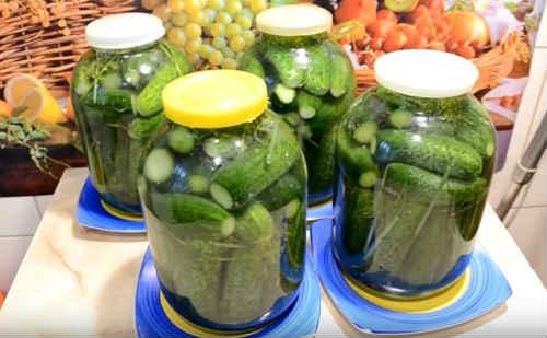 Квашеные огурцы в банках на зиму по проверенным рецептам. Огурцы, квашеные на зиму — самые вкусные рецепты (как бочковые)