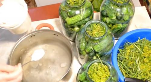 Квашеные огурцы в банке на зиму пальчики оближешь. Квашенные огурцы в банках на зиму под железную крышку