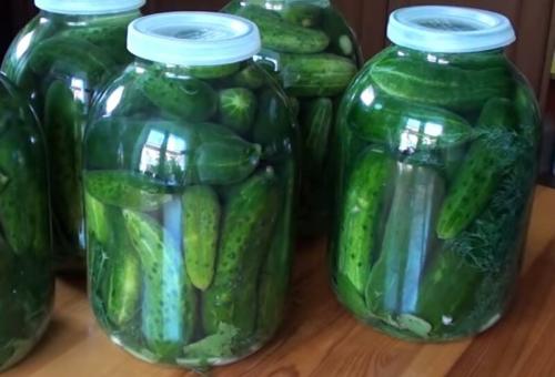 Квашеные огурцы в банках на зиму по проверенным рецептам. Огурцы, квашеные на зиму — самые вкусные рецепты (как бочковые) 14