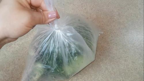 Малосольные огурцы без укропа. Малосольные огурцы быстрого приготовления — 6 рецептов, чтобы они получились хрустящие и сочные