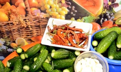 Квашеные огурцы в банке на зиму пальчики оближешь. Квашенные огурцы в банках на зиму под железную крышку