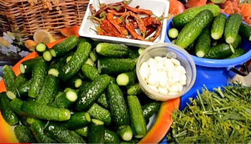 Квашеные огурцы в банках на зиму по проверенным рецептам. Огурцы, квашеные на зиму — самые вкусные рецепты (как бочковые)