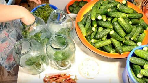 Квашеные огурцы в банках на зиму по проверенным рецептам. Огурцы, квашеные на зиму — самые вкусные рецепты (как бочковые)