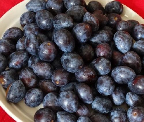 Моченые сливы с горчицей. Моченые сливы