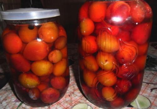 Моченые сливы на зиму. Моченая терновая слива с горчицей 12 Моченые сливы на зиму. Моченая терновая слива с горчицей 12